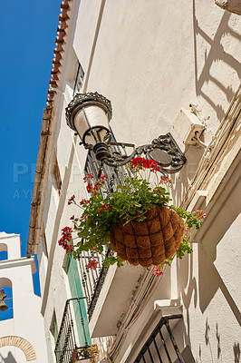 Buy stock photo Hanging flower pot, wall and architecture with landscaping in village as texture or wallpaper. Below, background and travel in home decor, tourism or outdoor adventure as holiday destination in Spain