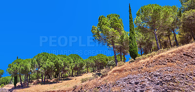 Buy stock photo Landscape, trees and blue sky with forest outdoor in nature for travel, vacation or holiday in Italy. Hill, woods or grass in countryside for sustainability, growth or climate change on mockup space