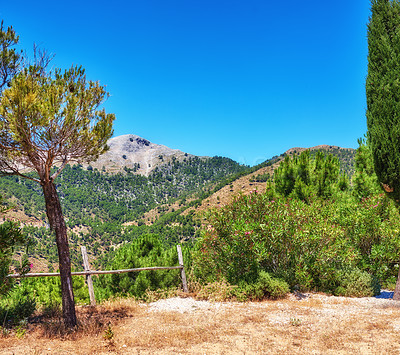 Buy stock photo Trees, mountain or fence in nature for landscape, ecology or healthy environment in Spain. Wallpaper, valley and geography in Ronda for habitat creation, forest or green in countryside for background