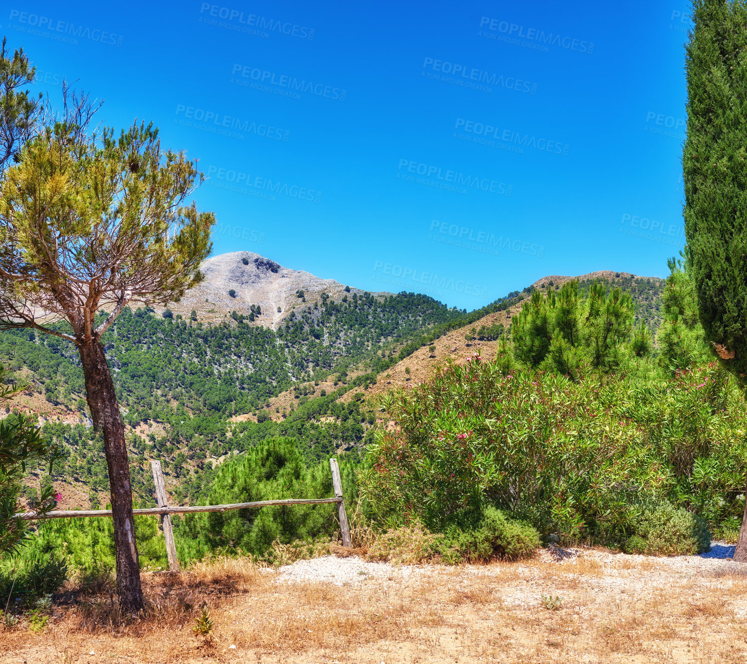 Buy stock photo Trees, mountain or fence in nature for landscape, ecology or healthy environment in Spain. Wallpaper, valley and geography in Ronda for habitat creation, forest or green in countryside for background