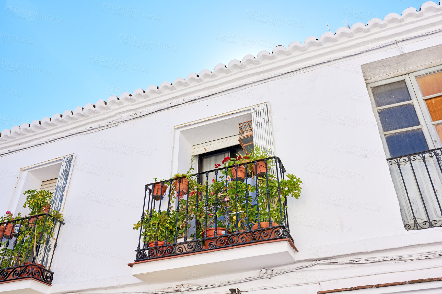 Buy stock photo House, buildings and architecture with flowers on balcony for wall structure, travel location and history tourism. Above, property and plant pot with window view, blue sky and fence for Spain culture