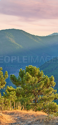 Buy stock photo Forest, trees and nature of location, outdoor and landscape of environment, mountain and view with peace. Hill, scenery and fresh air of woods, eco friendly and growth of plants, adventure and jungle