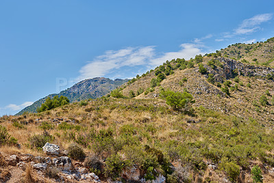 Buy stock photo Outdoor, mountain and nature of forest, sky and landscape of environment, travel and peace of earth. Countryside, location and holiday for adventure, hill and sustainable in woods or scenery in Spain