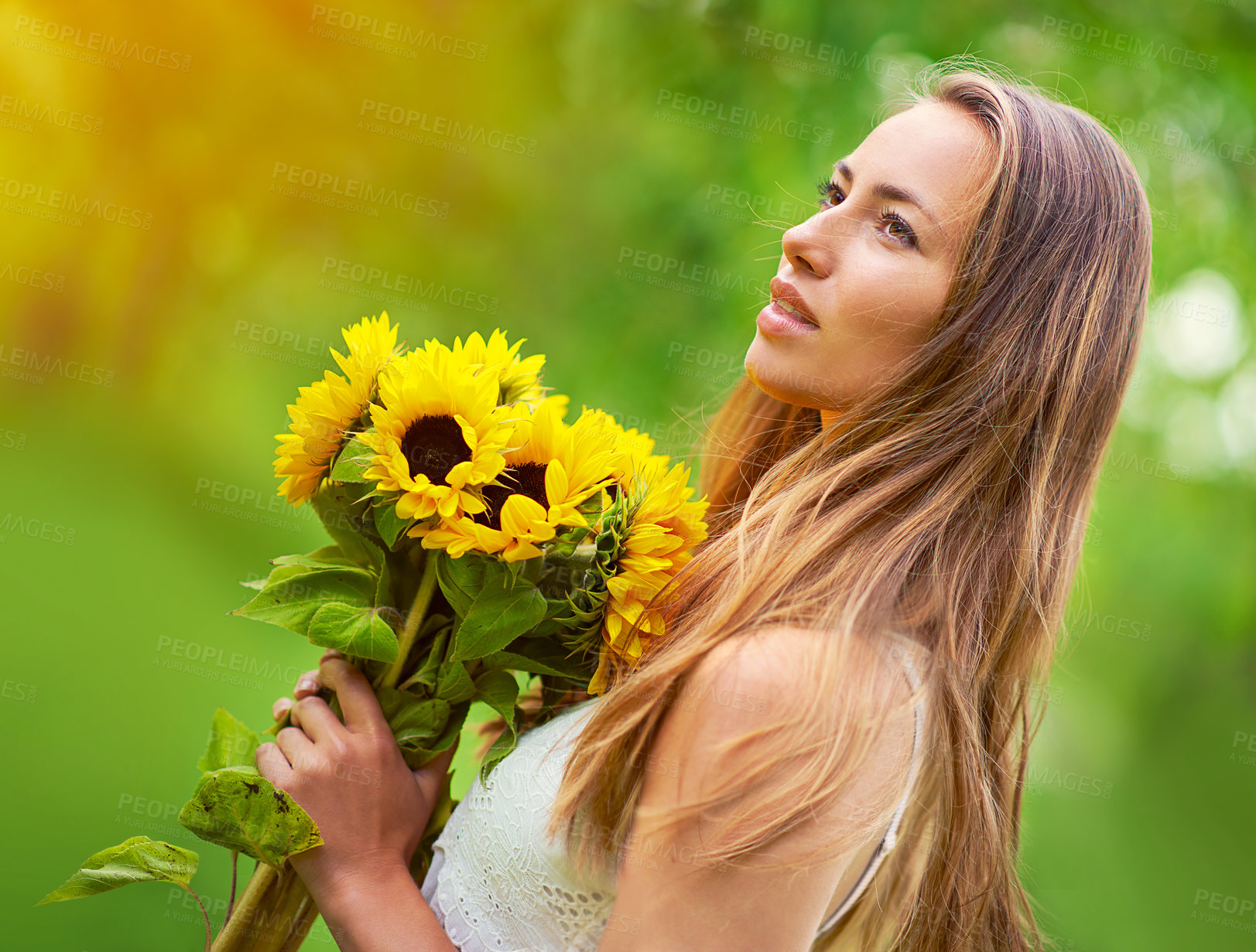 Buy stock photo Nature, woman and holding bouquet of sunflowers with thinking, summer and ideas for eco gift. Female person, relax and flowers in park with contemplating for floral present, spring and sustainability