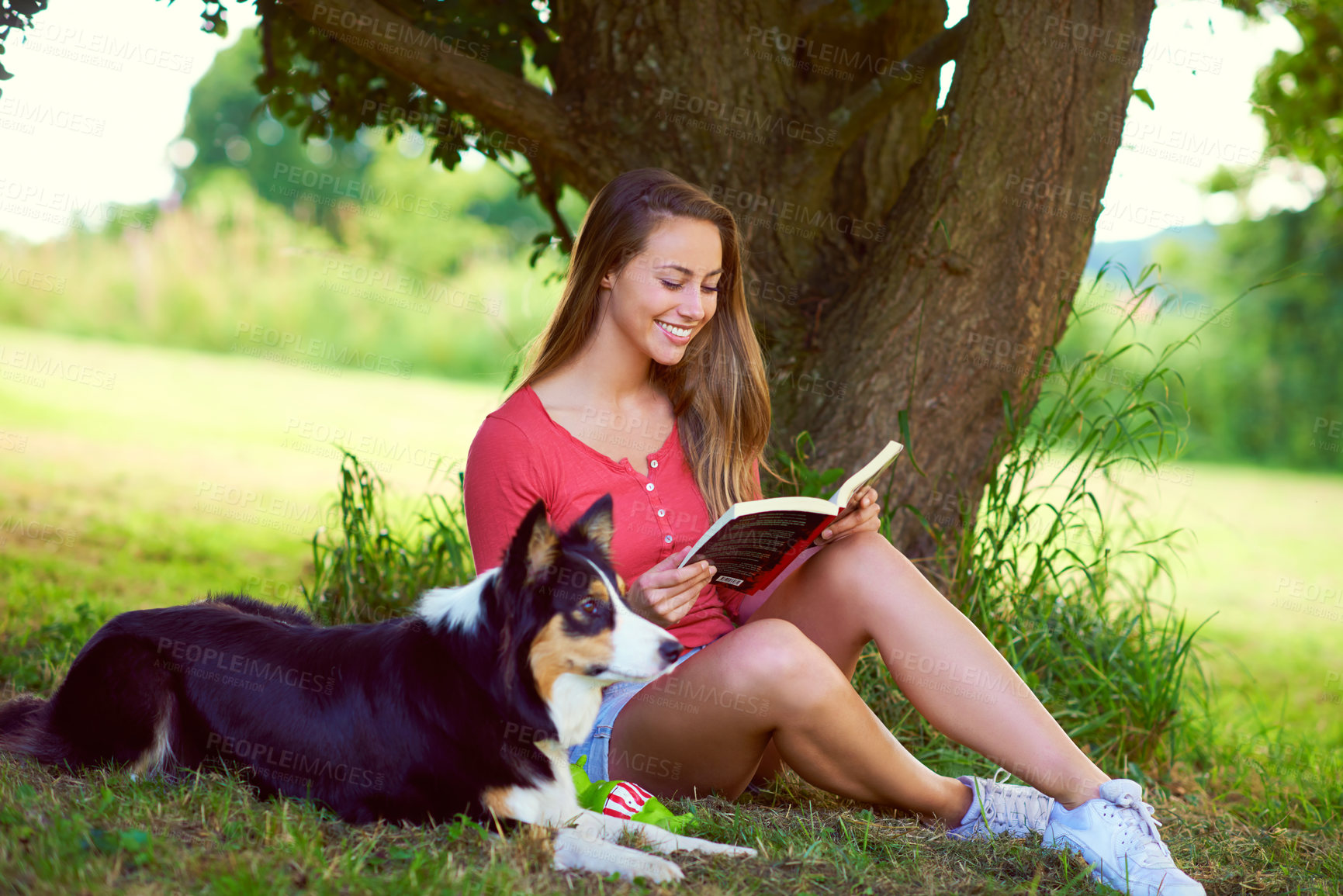 Buy stock photo Shot of a young woman reading a book while sitting with her dog under a tree