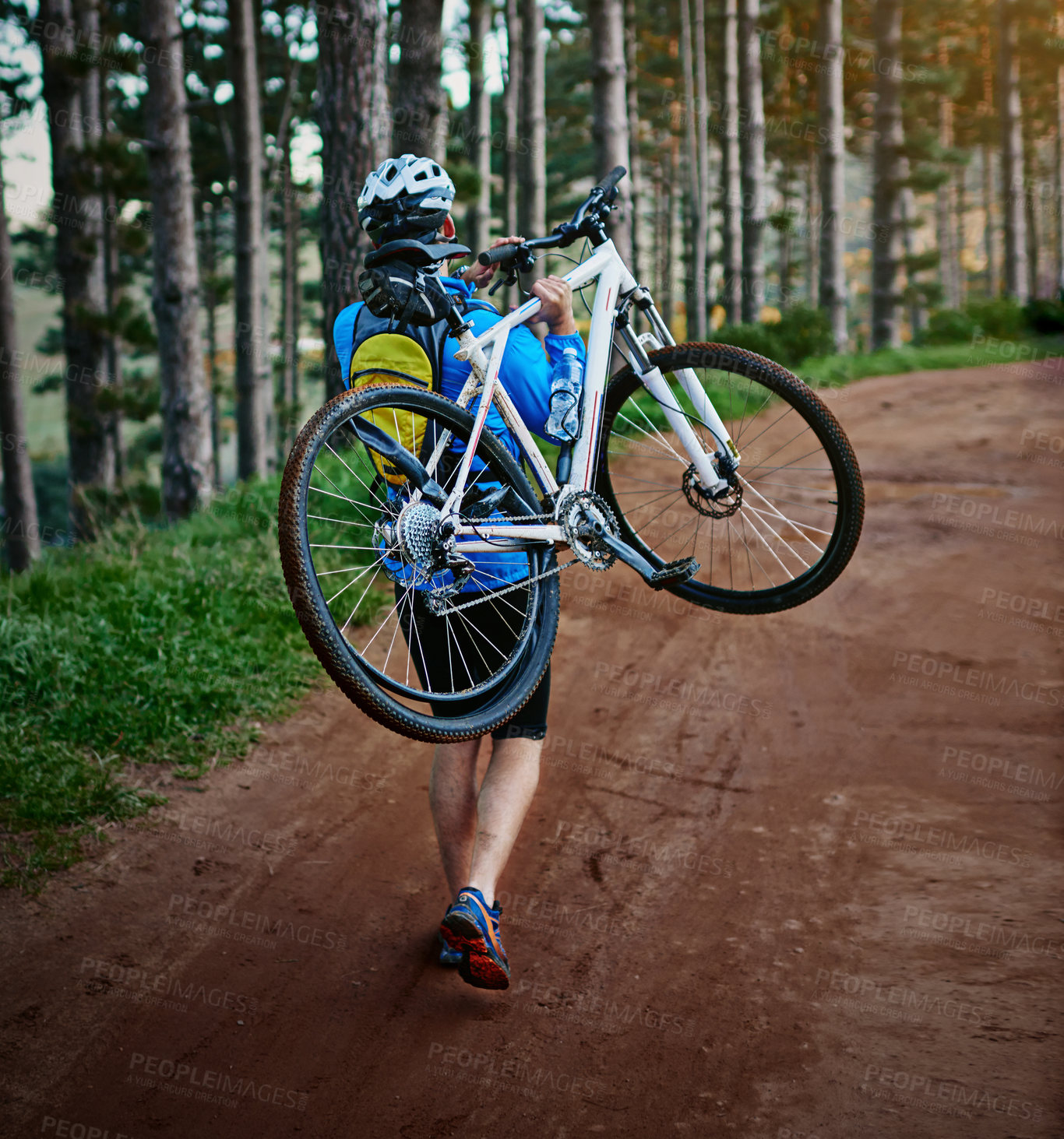 Buy stock photo Carrying bicycle, forest and cyclist with flat tire for problem, maintenance or repair. Nature, back view and man with wheel puncture for physical activity, outdoor hobby or cardio training in woods