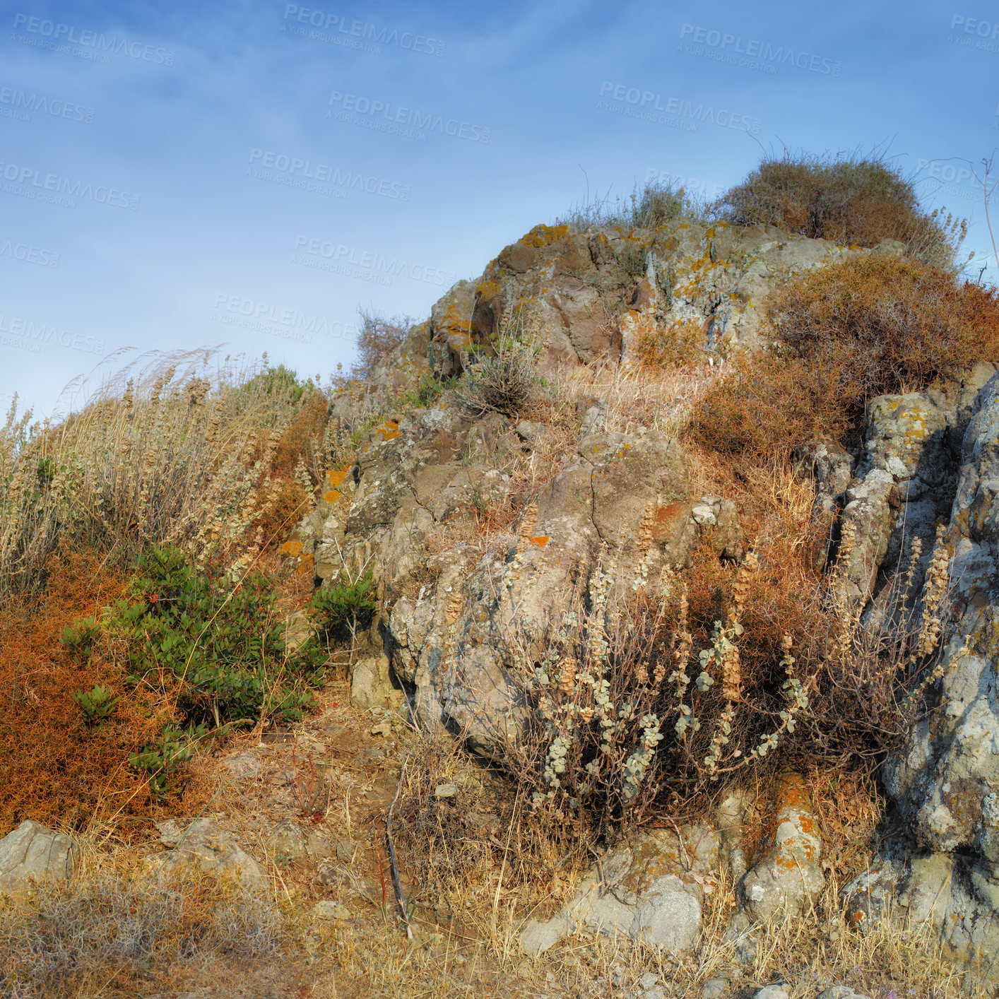 Buy stock photo Wilderness by the Mediterranean Sea. Close to the ancient city of Bodrum, Turkey