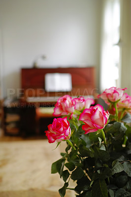 Buy stock photo A photo of a beautiful bunch of roses in the living room in front of the piano