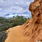 Torrey Pines State and Beach Park - San Diego, California, USA
