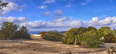 Buy stock photo The beautiful Torrey Pines Park, San Diego, California