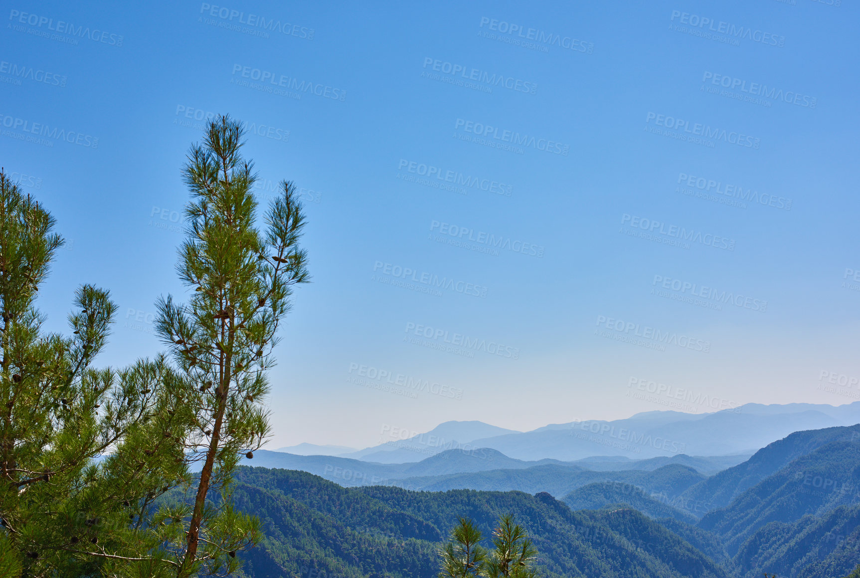 Buy stock photo An image of Pine forest in mountain area in Wester Turkey