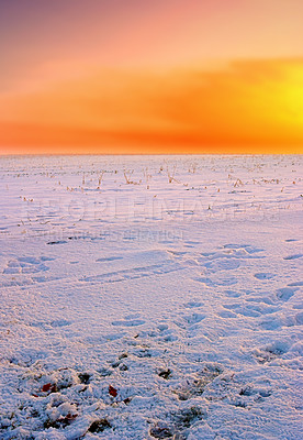 Buy stock photo Snow covered fields at orange sunset. Stunning orange sky on empty frozen farmland. Winter landscape scene of soft fresh white snowfall at dawn in an arctic scene. Global warming and climate change.