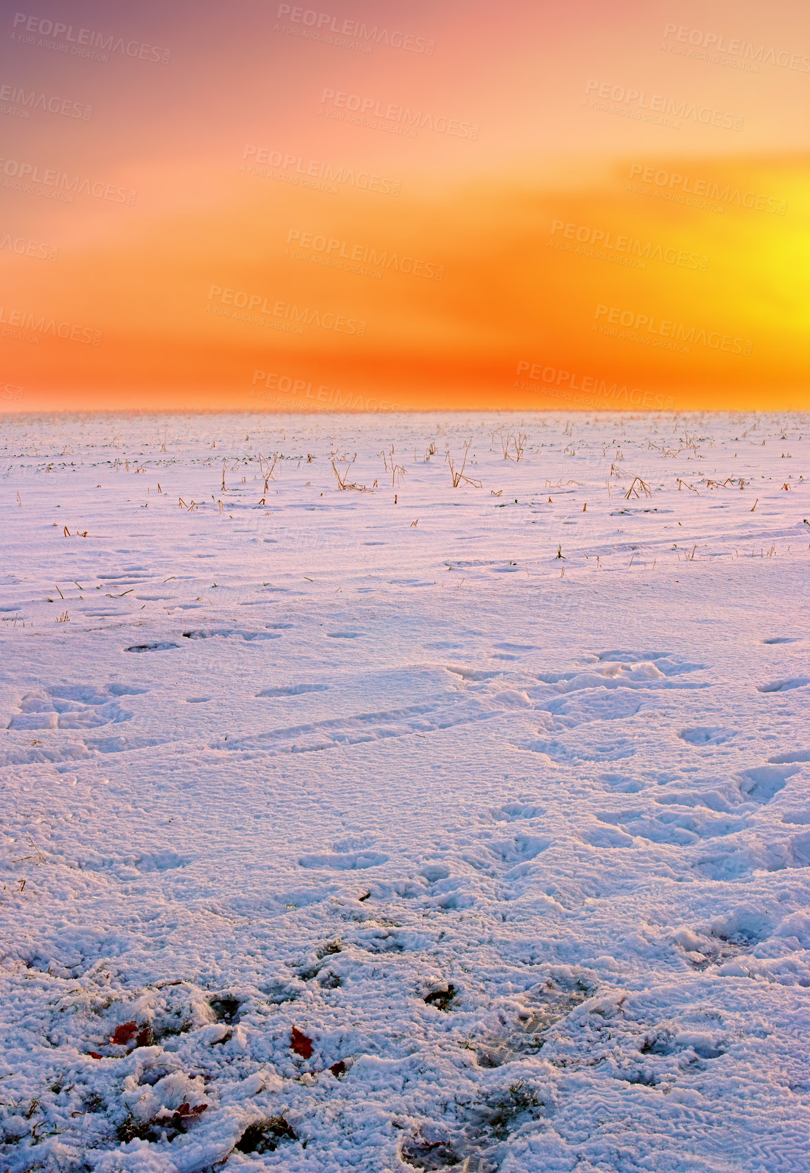 Buy stock photo Snow covered fields at orange sunset. Stunning orange sky on empty frozen farmland. Winter landscape scene of soft fresh white snowfall at dawn in an arctic scene. Global warming and climate change.