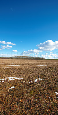 Buy stock photo Landscape of an open dry land during winter with melting snow. An empty arid field with trees in the background and scattered clouds in sky. Exploring mother nature in autumn on a weekend hike