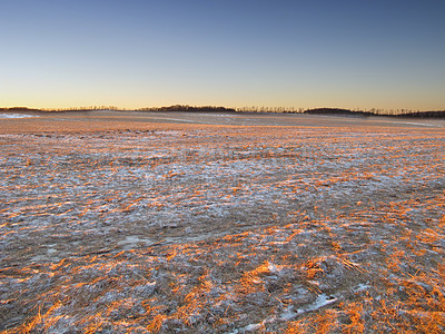 Buy stock photo Ground covered in snow in winter at sunset with copyspace. Frozen twigs and leaves in frost. Grass growing in cold weather in the forest. A snowfall in the woods. Icy, dewy, early morning in nature