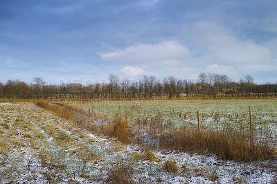 Buy stock photo A field on a winter day with a bit of snow on the grass and a cloudy sky. Landscape on a cold day a beautiful view with tan grass. Rural countryside with brown field melting snow and trees on horizon