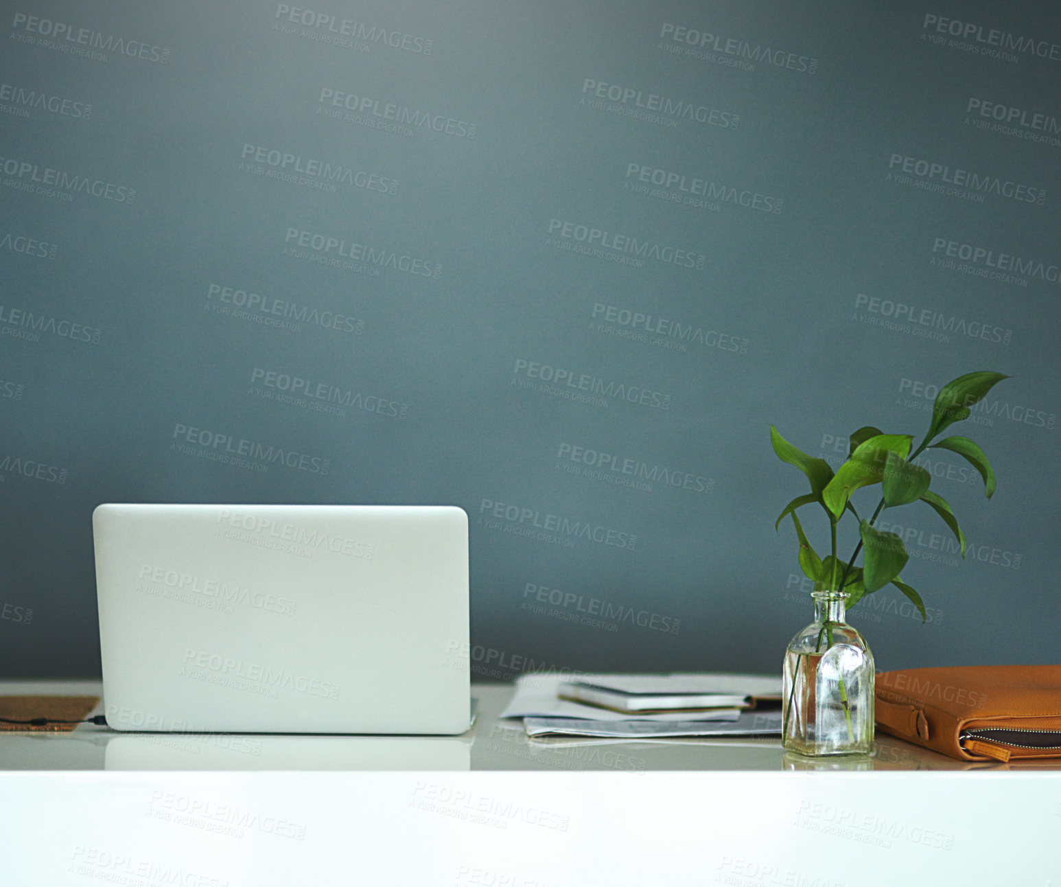 Buy stock photo Laptop, plant on table and empty home for remote work, internet and research. Computer, documents on desk and grey wall in office with paper for freelance, email and mockup space in interior room