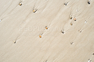 Buy stock photo Wonderful nature - by the ocean side