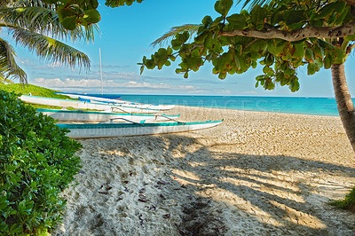 Buy stock photo Beach, coast or island with sand, paradise or blue sky for vacation or environment to relax. Brazil, horizon or nature view of trees, sea and ocean in Rio de Janeiro for travel destination or resort