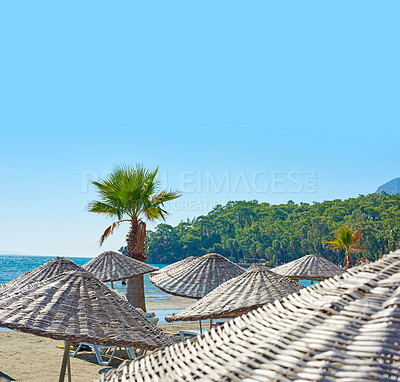 Buy stock photo Palm tree, beach or tourism with resort, hotel or blue sky for vacation or oasis retreat to relax. Brazil, nature or scenic view of island, sea or ocean in Rio de Janeiro trip for travel destination