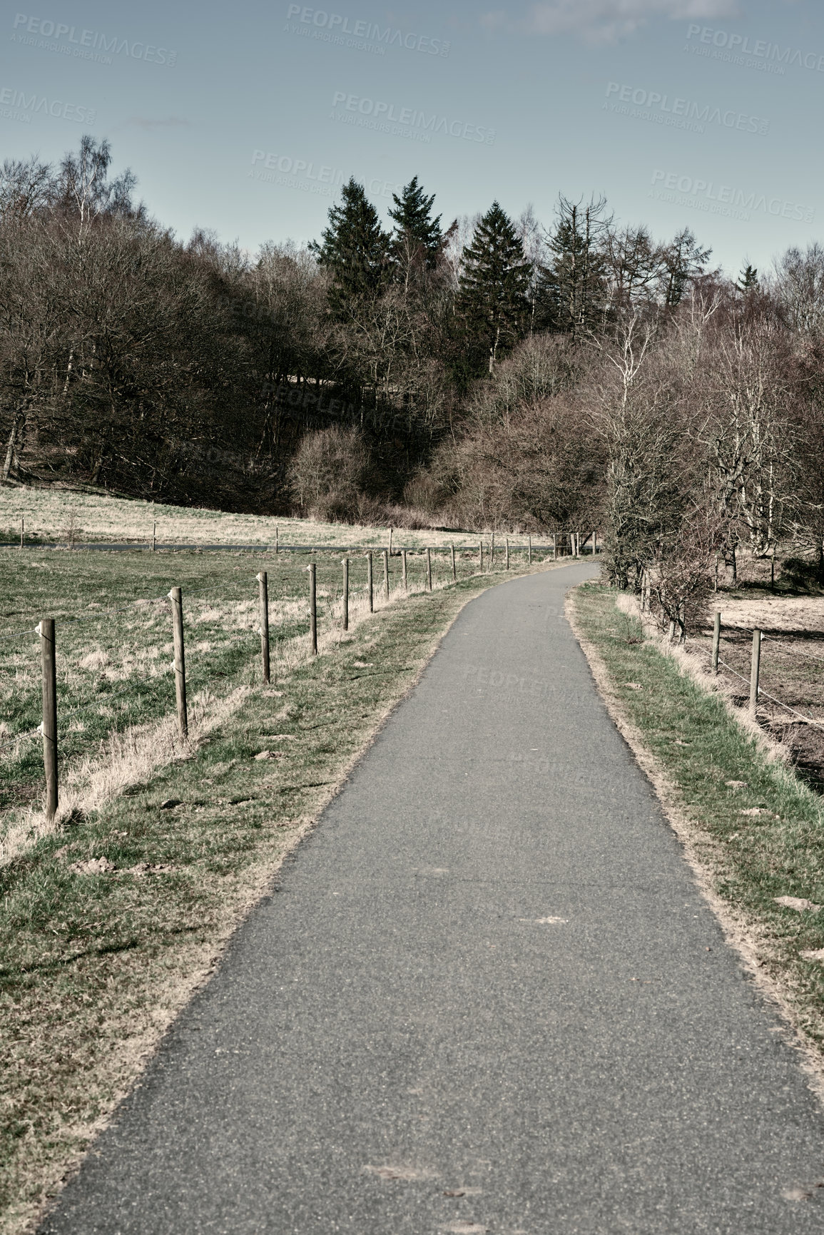 Buy stock photo Path, route and travel outdoor in nature with trees for countryside vacation, environment and asphalt street. Road, sustainable and structure for trail adventure, holiday journey and lane direction