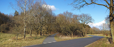 Buy stock photo Empty road, travel and journey to forest for peace, route and weekend trip to countryside on holiday. Street, tourism and wallpaper destination on vacation, location and New Zealand for adventure