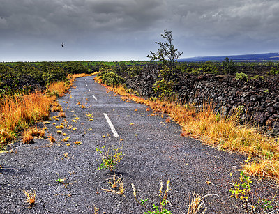 Buy stock photo Empty road, travel and plants for peace in nature, route and weekend trip to countryside on holiday. Street, tourism and freedom destination on vacation, autumn season and journey to New Zealand