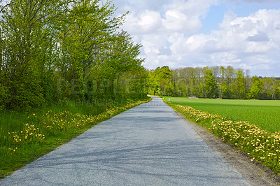 Buy stock photo Empty road, travel and journey to nature for view, forest and weekend trip to countryside on holiday. Street, tourism and wallpaper destination on vacation, location and New Zealand for adventure