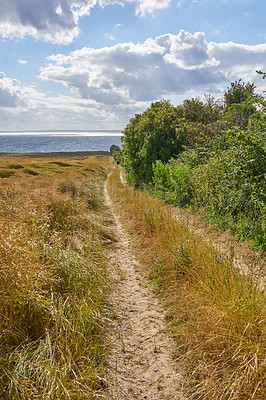 Buy stock photo Path, trees and travel outdoor in nature with blue sky for ocean vacation, environment and hiking location. Landscape, sustainable view and trail route with adventure, trekking journey and direction
