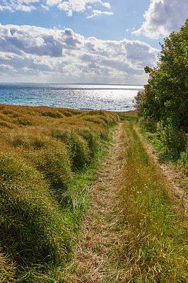 Buy stock photo Path, ocean and travel outdoor in nature with blue sky for vacation, environment trees and hiking location. Landscape, sustainable view and trail route with adventure, trekking journey and direction
