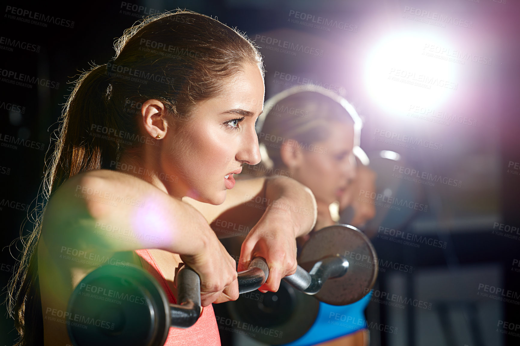 Buy stock photo Shot of two young women working out with weights at the gym