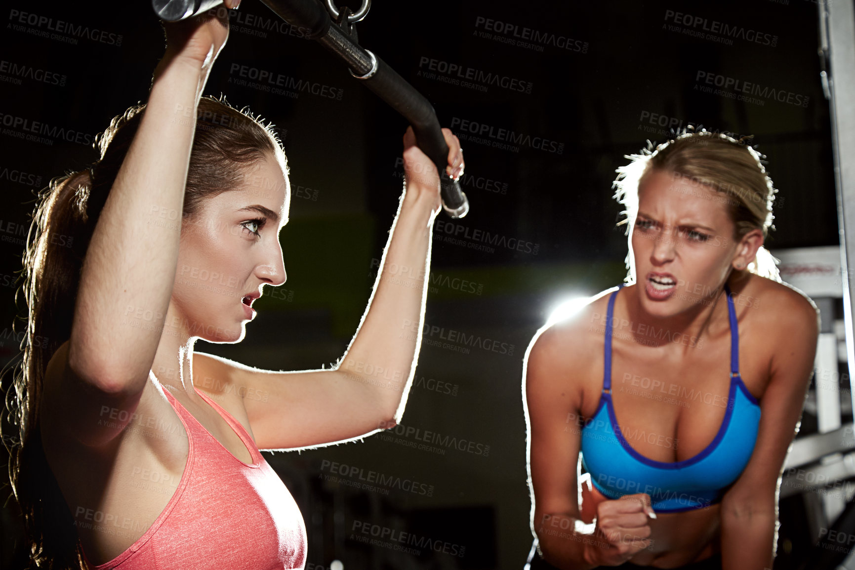 Buy stock photo Shot of a young woman working out at the gym with her friend encouraging her