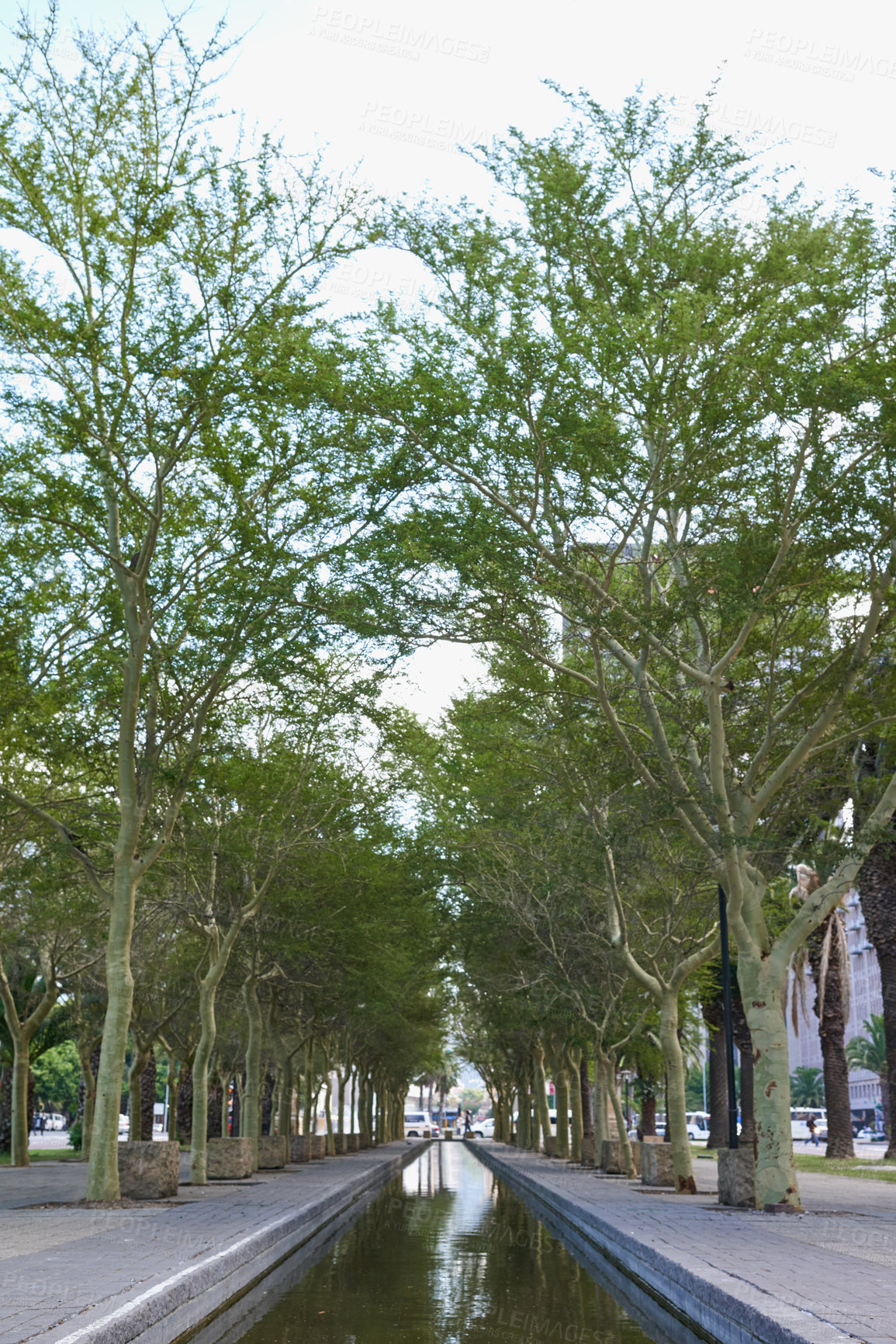 Buy stock photo Shot of a city park