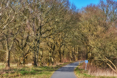 Buy stock photo Road in the forest on a sunny day in Autumn with road sign indicating bike lane. Curved roadway surrounded by trees in countryside. Landscape with empty asphalt road through the woods in Fall season