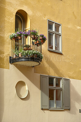 Buy stock photo View of yellow city houses in Stockholm, Gamla Stan with potted flowers and plants growing on a balcony. Travel, tourism abroad, overseas for holiday, vacation. Scenic architecture view of empty home