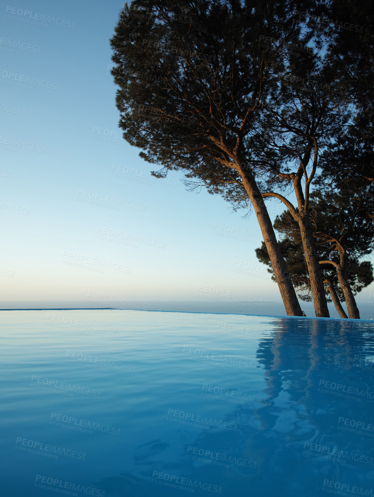 Buy stock photo Infinity edge pool with trees and blue sky in background. Beautiful outdoor swimming pool at resort or luxury holiday villa. Romantic getaway with sea view for travelling in summertime