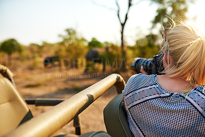 Buy stock photo Cropped shot of a female tourist taking photographs of elephants while on safari