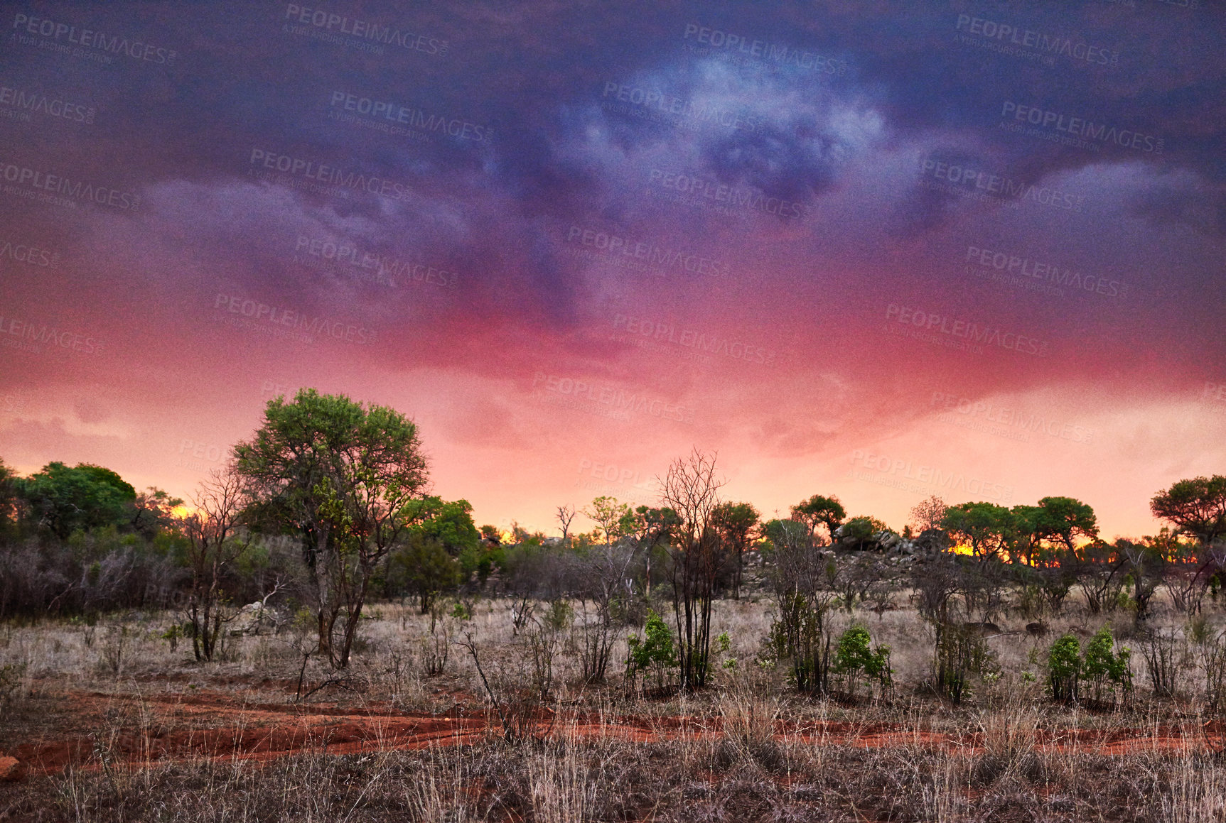 Buy stock photo Shot of the African bush at sunset