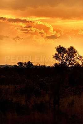 Buy stock photo Shot of the African bush at sunset