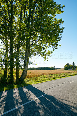 Buy stock photo Tree, asphalt road and countryside highway with nature landscape for road trip, travel and adventure in summer. Environment, peace and calm rural route with shadow and blue sky for outdoor background