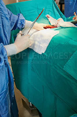 Buy stock photo Shot of a surgeon using a forceps during an operation