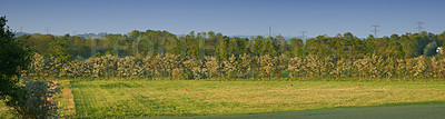 Buy stock photo Farmland in springtime - Jutland, Denmark