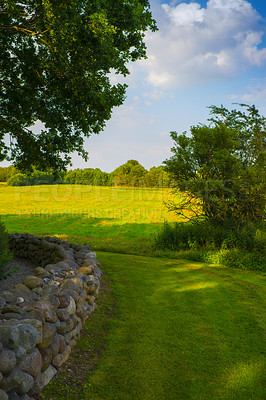 Buy stock photo Nature, golf landscape and field with trees, grass and plants for environment, ecosystem or ecology. Natural background, earth and stone wall for recreation, sustainability and countryside in Denmark