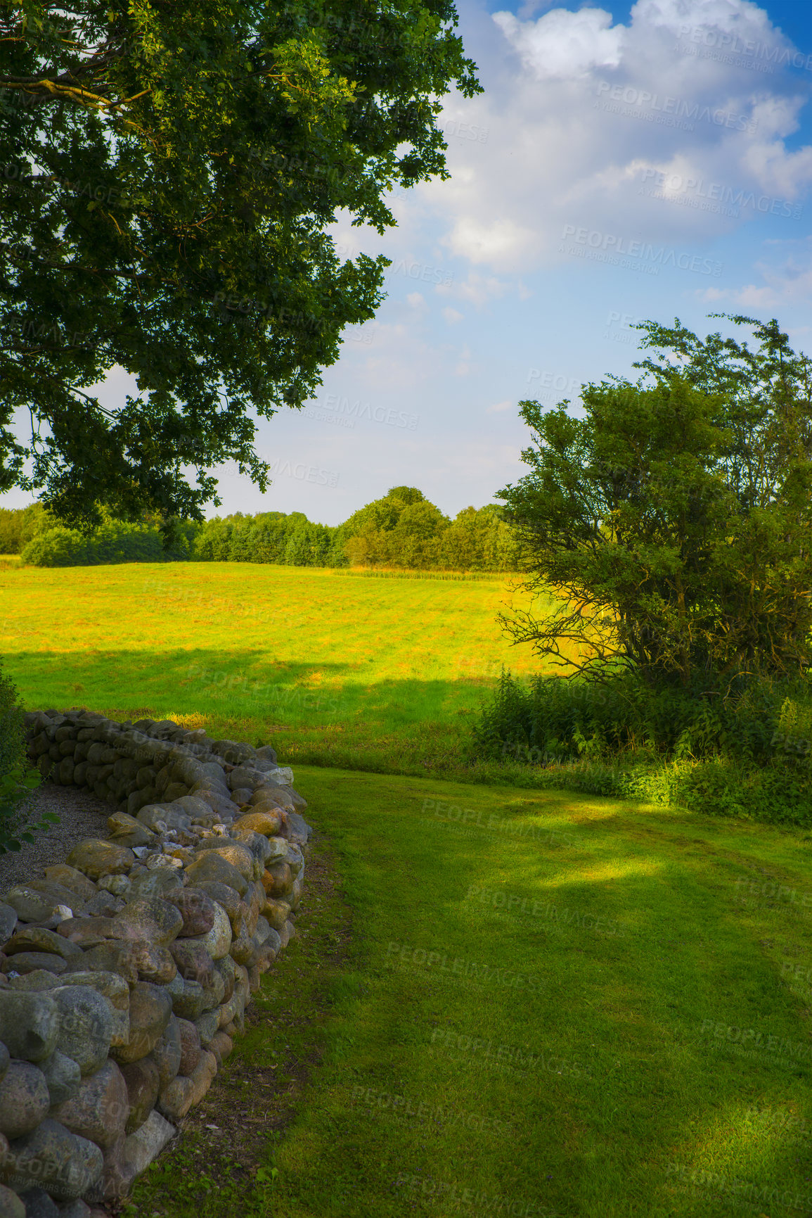 Buy stock photo Nature, golf landscape and field with trees, grass and plants for environment, ecosystem or ecology. Natural background, earth and stone wall for recreation, sustainability and countryside in Denmark