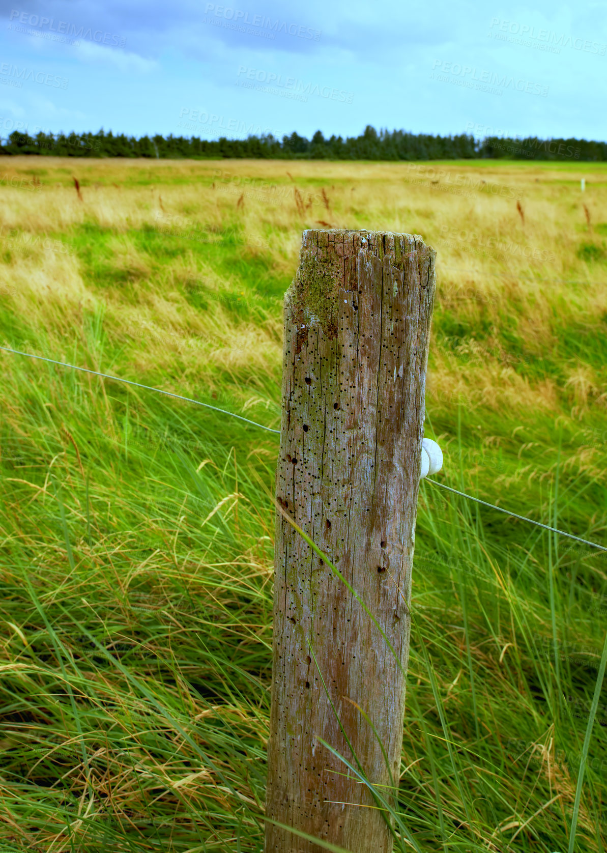 Buy stock photo Wooden post and electric fence in remote field, meadow in the countryside during the day. Fencing used as boundary to protect farm animals from escaping from green pasture and farmlands in the country