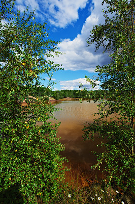 Buy stock photo Forest, dirty lake and outdoor in nature with industrial pollution, plants and chemical spill in summer. Water, environment and woods with toxic wast, leaves and clouds in sky at location in USA