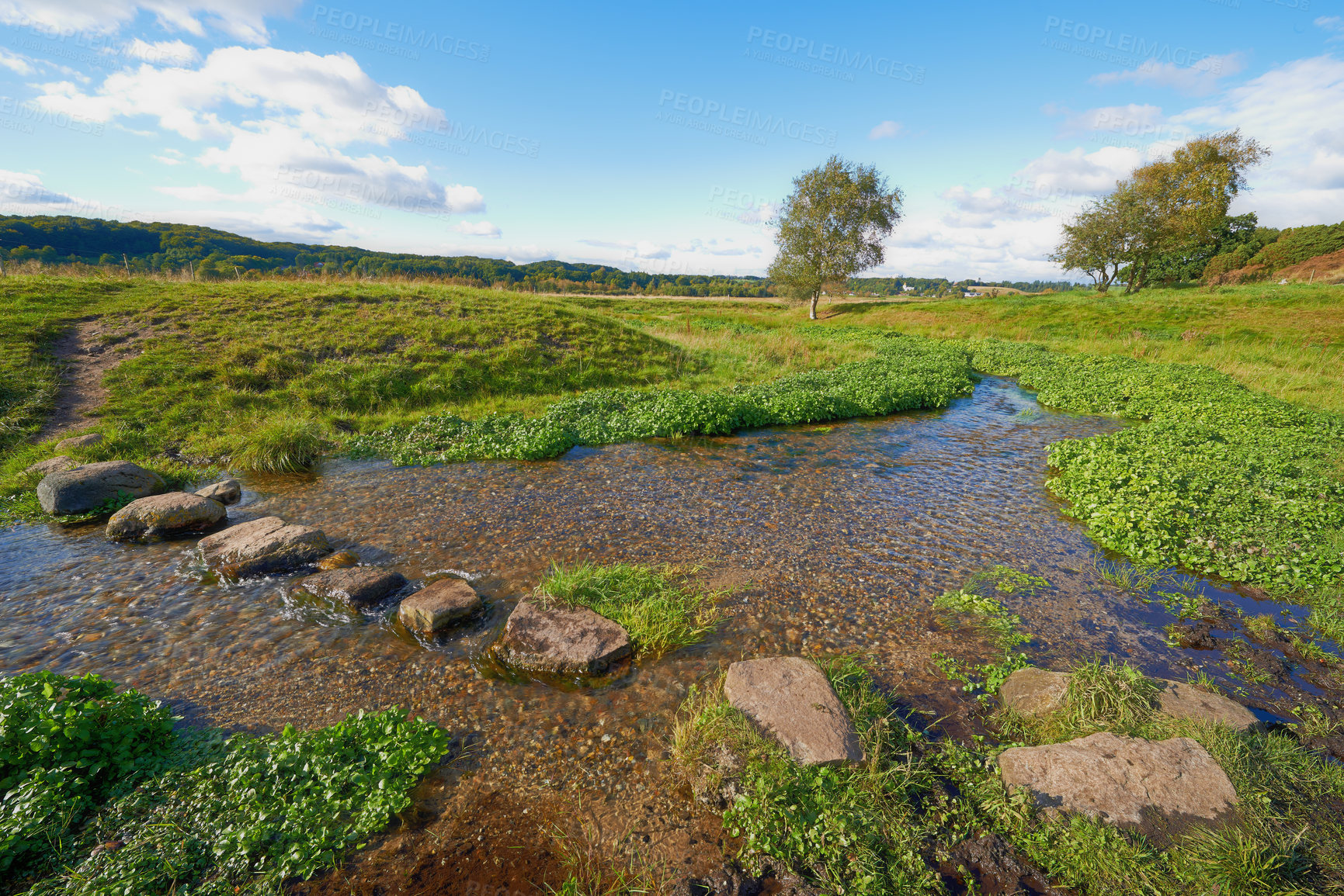 Buy stock photo Stream, nature and rocks in creek, landscape and outdoor with plants, trees and grass on horizon. River, water and stone on ground, meadow and location for environment, sunshine and summer in Denmark