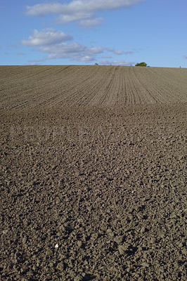 Buy stock photo Field, agriculture and nature with plough lines for seeds, plants or vegetables with landscape in summer. Ground, soil and process for farming with sustainability, dirt and eco friendly in Denmark