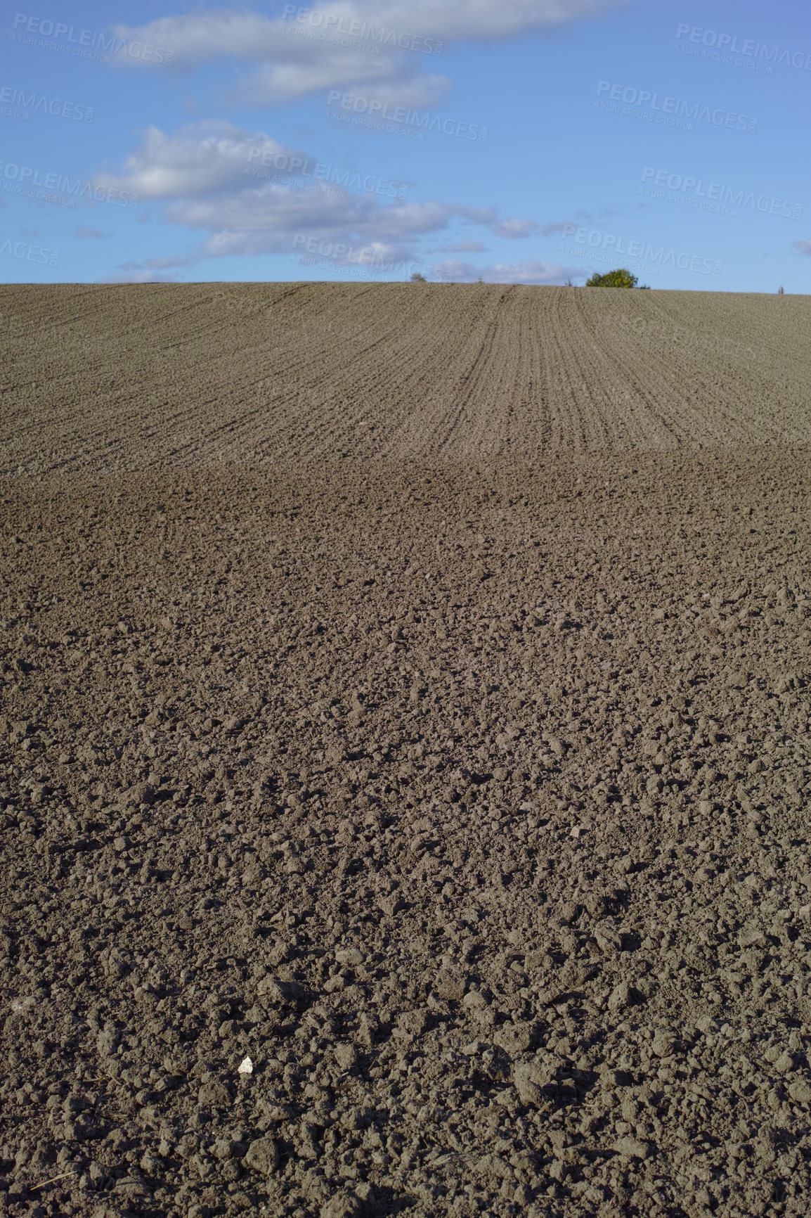 Buy stock photo Field, agriculture and nature with plough lines for seeds, plants or vegetables with landscape in summer. Ground, soil and process for farming with sustainability, dirt and eco friendly in Denmark