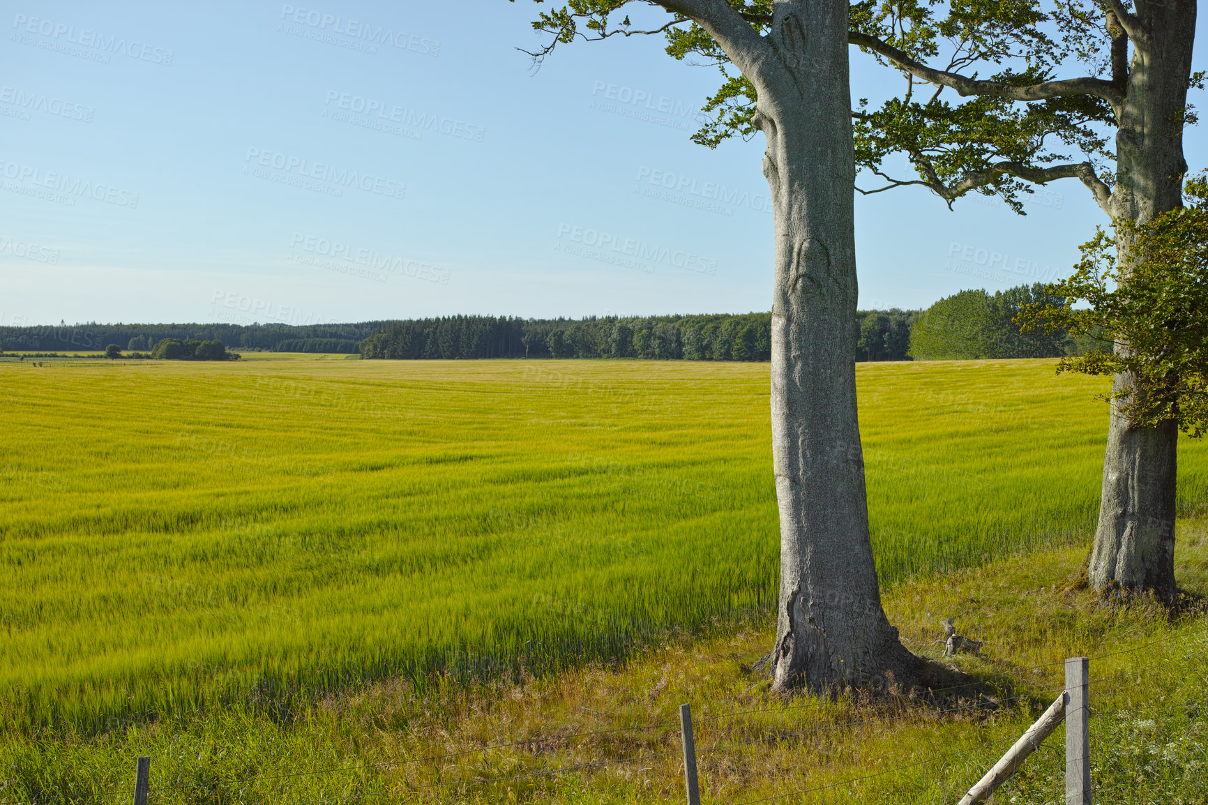 Buy stock photo Farmland in springtime - Jutland, Denmark